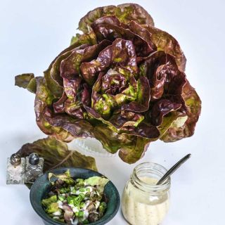 Merveille des Quatre Saisons head in jar next to a small bowl of salad and dressing.