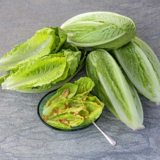 Several heads of Parris Island Cos Lettuce and a bowl of salad on a stone background.