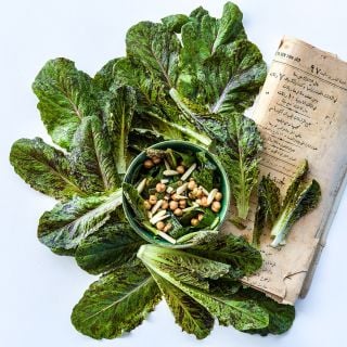Spotted Aleppo Syrian Lettuce with an Arabic newspaper arranged around a salad on white.