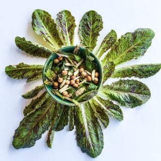 Spotted Aleppo Syrian Lettuce leaves arranged around a bowl of salad.