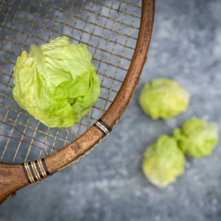 Several heads of Tennis Ball Lettuce with a rustic wooden tennis racket on a gray background.