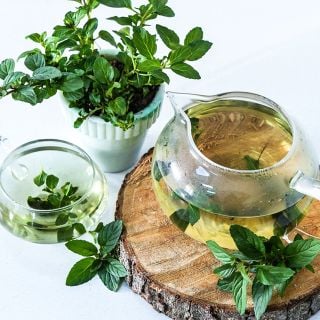 A downward view of Double MInt tea in a clear glass teapot with a potted mint plant.