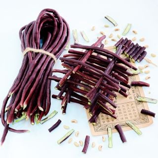 Bundled, cut and stacked Chinese Red Noodle Long Beans with a card that has Chinese text on it.
