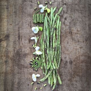 Whole and cut Thai Soldier Long Beans with blooms ad loose beans on wooden cutting board.