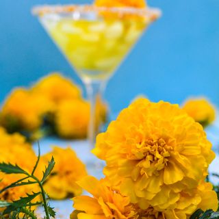 Gypsy Sunshine French Marigold
