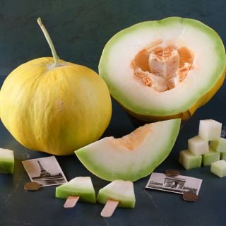 Cut and whole Boule d'Or Melon, with some slices on popcicle sticks against a deep green jade background.