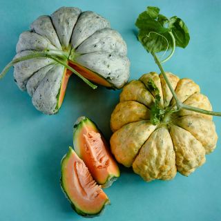 Cut and whole Prescott Fond Blanc Melons arranged on a teal background.