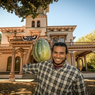 Bidwell Casaba Melon in front of General Bidwell's house in Chico, CA.