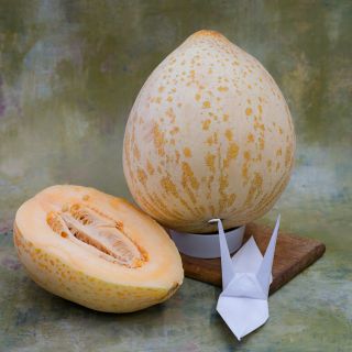 Crane Melons with origami crane.