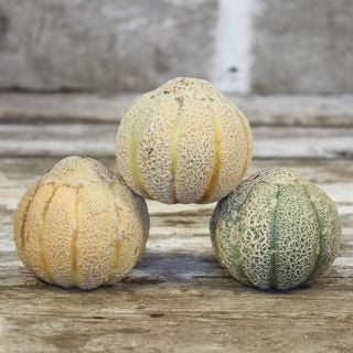 Golden Jenny Melon stacked.
