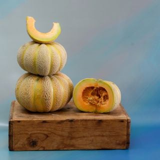 Golden Jenny Melon stack.