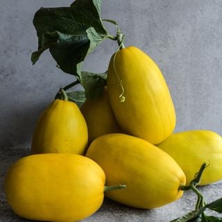 Golden Crispy Melons with foliage.