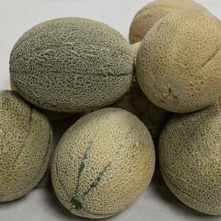 Stacked Hale's Best 45 Melons.