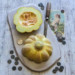 Jenny Lind Melon with coins for size reference.