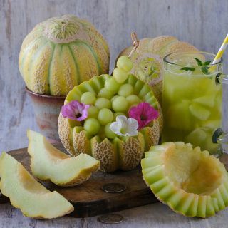 Jenny Lind Melon - whole, balls, wedges and drink.