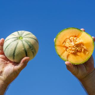 Madhu Ras Melons held high in the air.