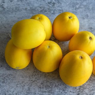 Mango Melons on grey background.