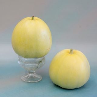 Sakata's Sweet Melon