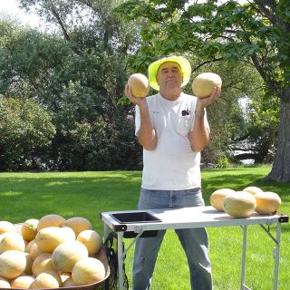 Tommy Apple Melons