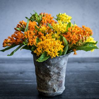 Gay Butterflies Milkweed flowers in a patina finish small pot.