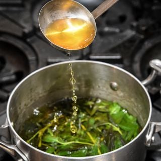 Mountain Mint 