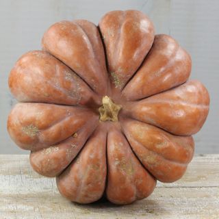 A Musquee De Provence Pumpkin Winter Squash balanced on its side against a light background.