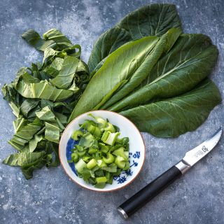 Spinach Mustard "Old Tokyo" Komatsuna leaves and chopped stems in a bowl on a grey background.