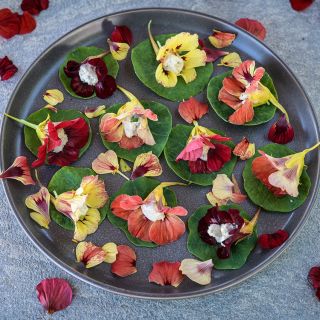 Bloody Mary Nasturtium on plate
