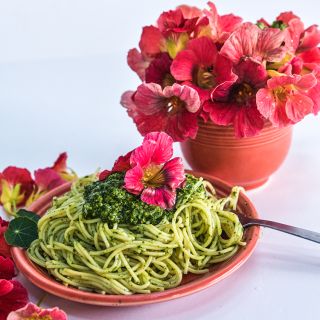 Cherry Rose Jewel Nasturtium with Pesto 