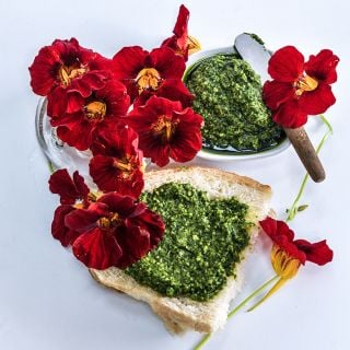 Tip Top Mahogany Nasturtium flowers with Pesto toast.