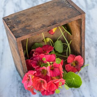 Tip Top Rose Nasturtium flowers in wooden box on a light marble background.