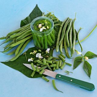 Canned, fresh and chopped Odeon Bush Beans with foliage and blooms and green knife on blue.