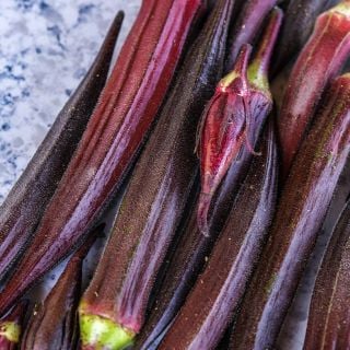 Close-up Burgundy Okra