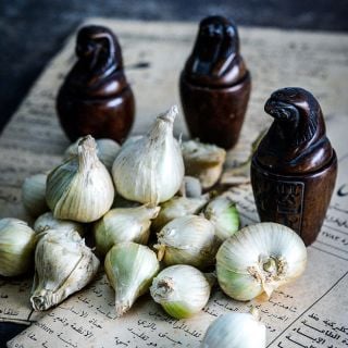 A close up of White Egyptian Walking Onion bulbils on an Arabic newpaper with Egyptian items.