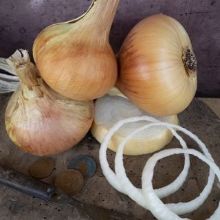 Australian Brown Onions with rings.