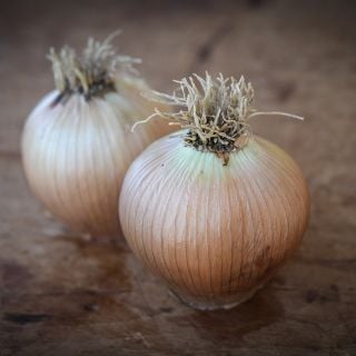 Close-up Australian Brown Onions.