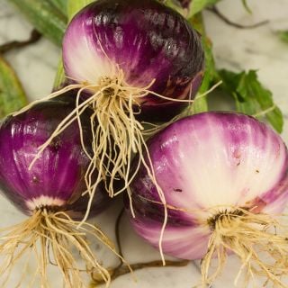 Flat of Italy Onions stacked.