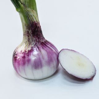 Round Tropea Onions