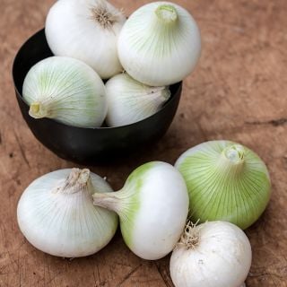 White Creole Onions in black bowl on wooden countertop.