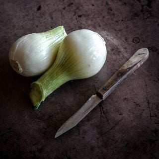 Yellow of Parma Onion bulbs
