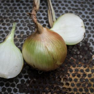 Yellow Sweet Spanish Onions