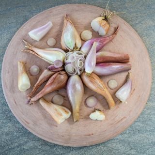 Zebrune Shallot arrangement on wooden tray.