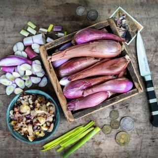 Zebrune Shallots in wooden box 