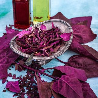 Red Orach salad with leaves and oil and vinegar on a light blue background.