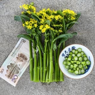 Blooming 50-Day Choy Sum leaves with chopped stems in bowl and Chinese currency on a stone background.