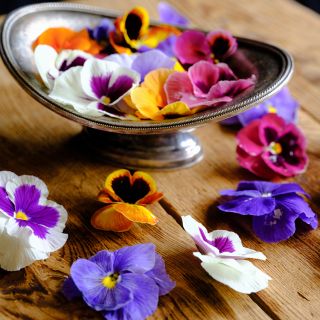 Trumpets Mix Pansy blooms in a metal stand on top of a wooden counter top.