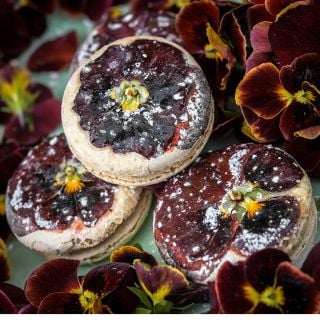Detailed close-up of Arkwright Ruby Viola blooms and pansy decorated macaroons on a plate.