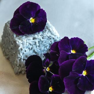 Berna Velvet Blue Pansy flowers on dyed rice.