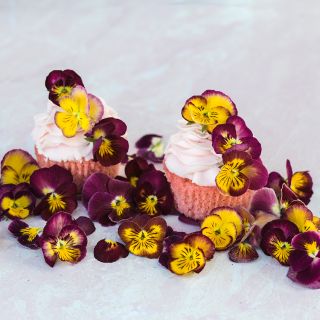 Side view of edible Floral Days Morning Dew Viola blooms decorating cupcakes.