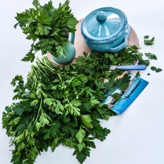 Giant of Italy Parsley with blue crock